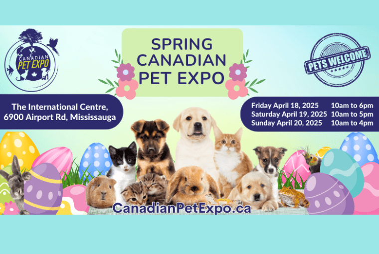 Spring Canadian Pet Expo | Q107 Toronto